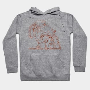 Font illustration "miniature dachshund" Hoodie